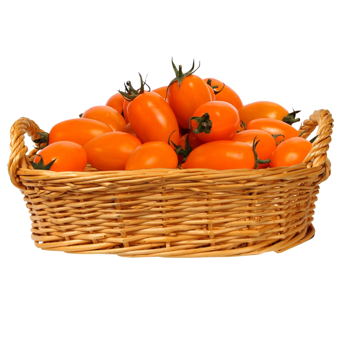 pomodoro datterino arancione